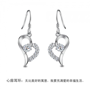 Fashion silver earrings 730923