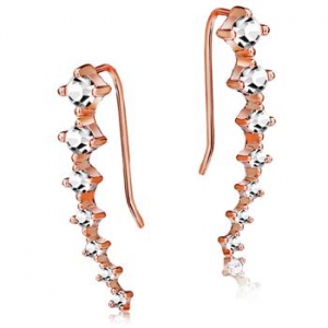 Allencoco Zirconia Earrings 1255970001