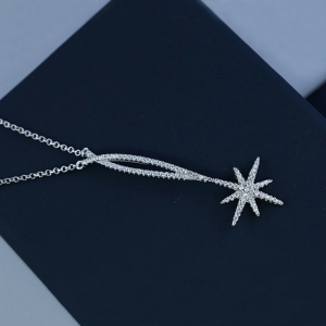 Allencoco star necklace  307237