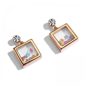 AllenCOCO Crystal Earrings 1253410001