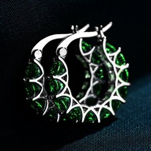 Allencoco zircon hoop earring 200086